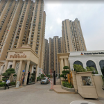 Prateek Grand Begonia