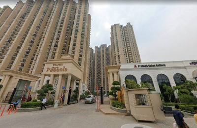 Prateek Grand Begonia